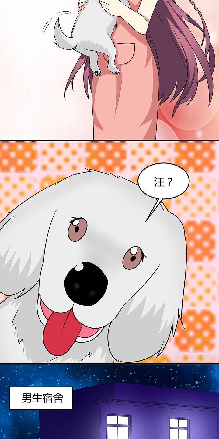 第85章：