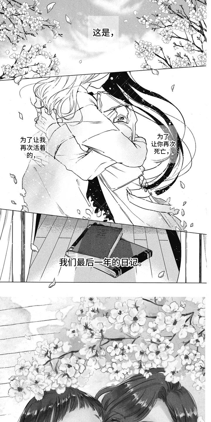 第1章：悲情电影