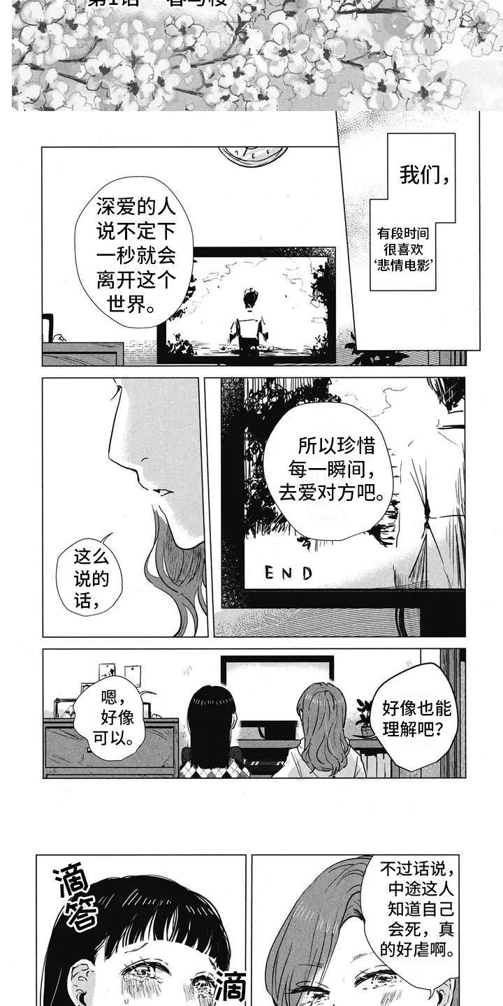 第1章：悲情电影