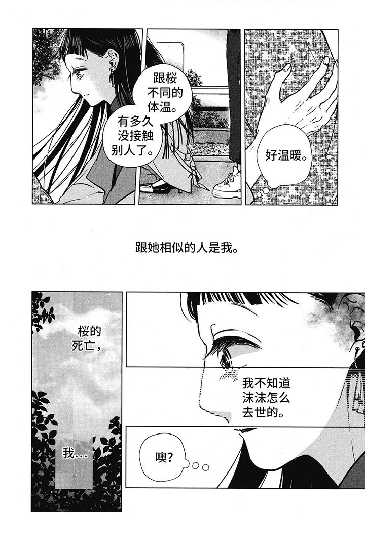 第25章：相似之处
