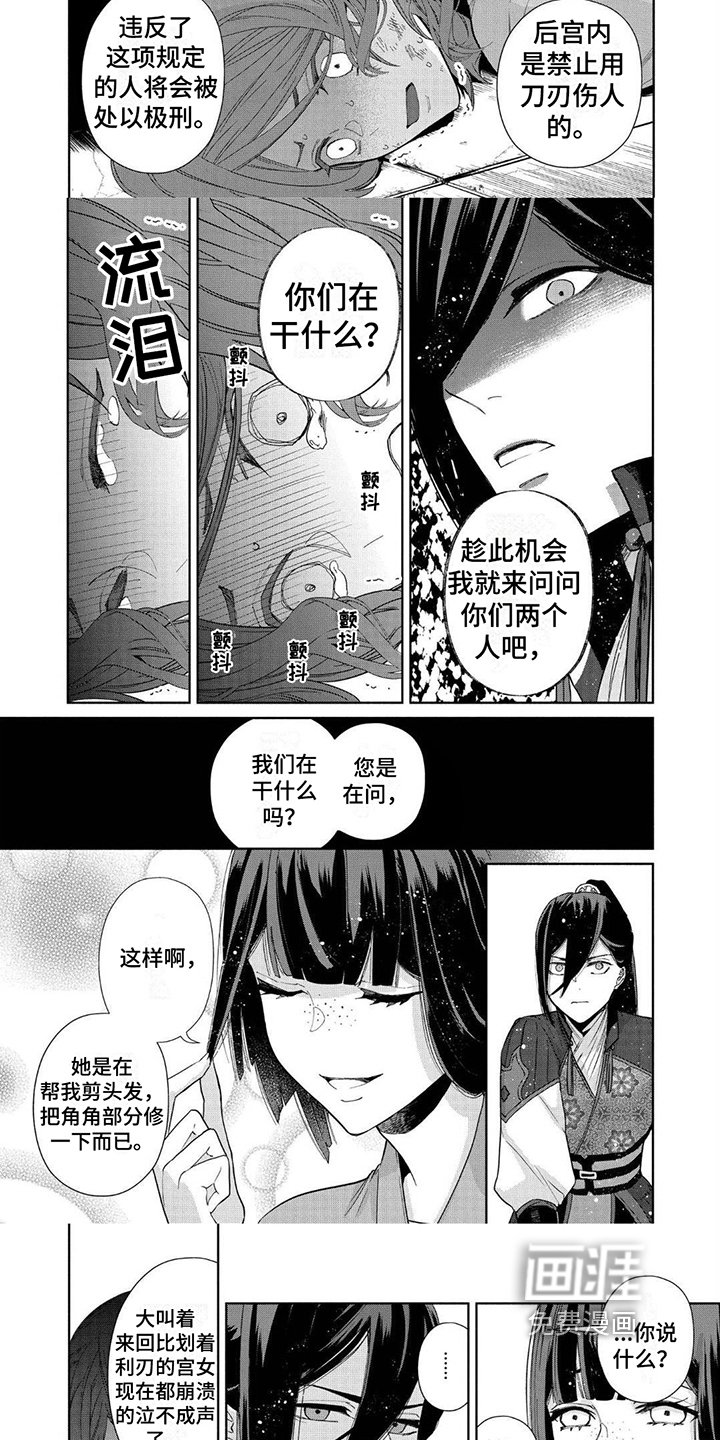 第19章：庇护