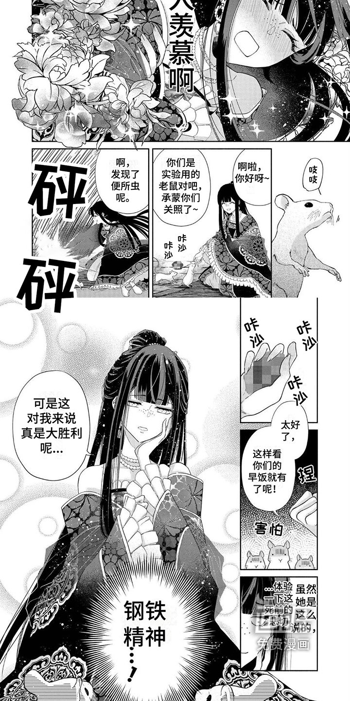 第5章：令人羡慕