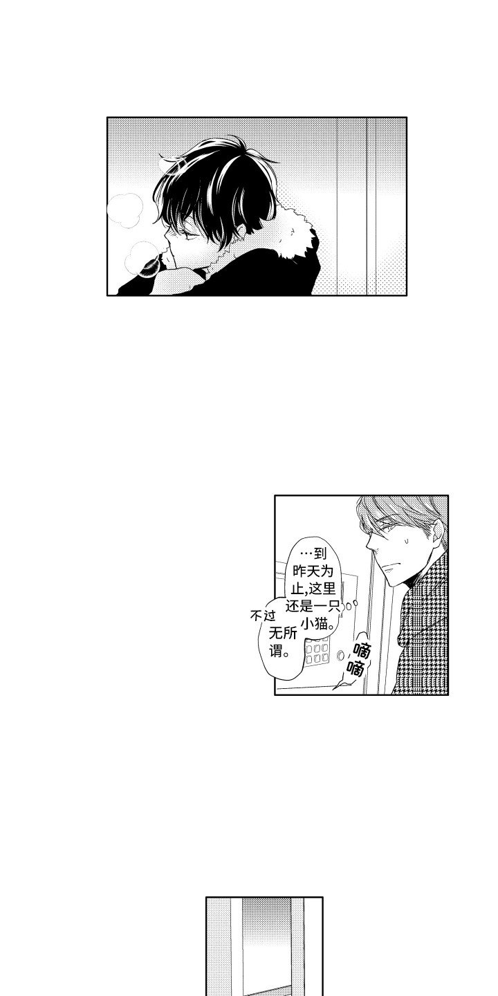 第1章：流浪猫