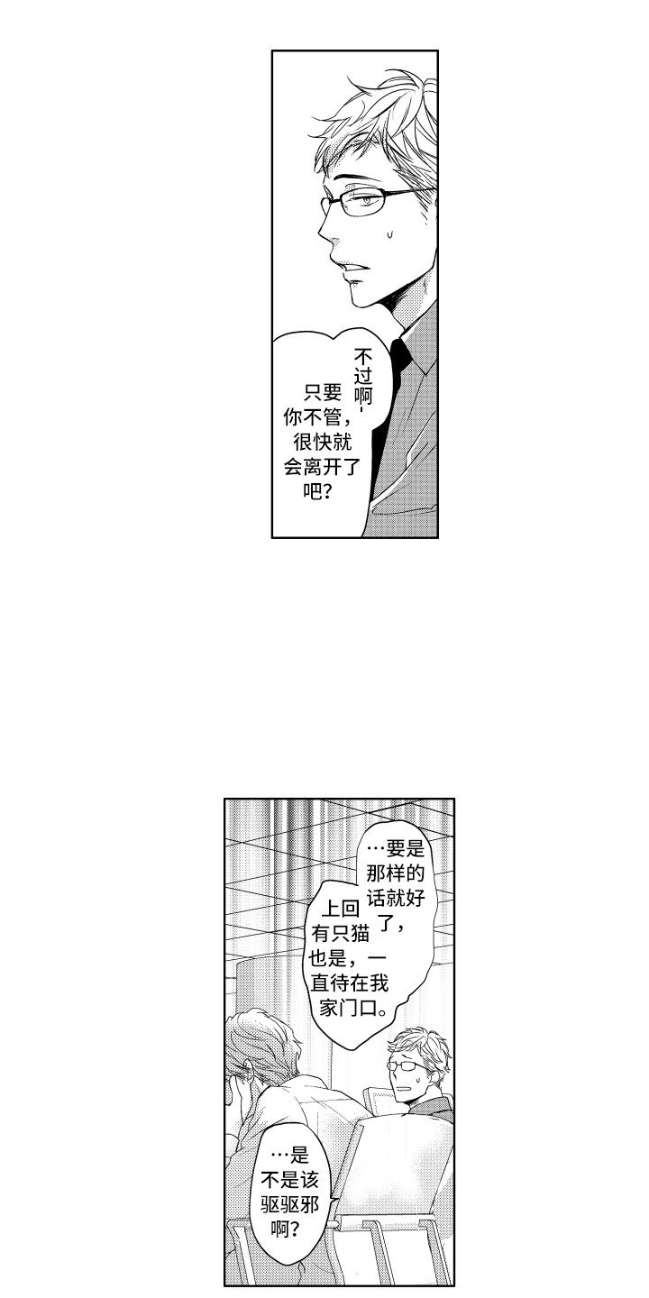 第1章：流浪猫