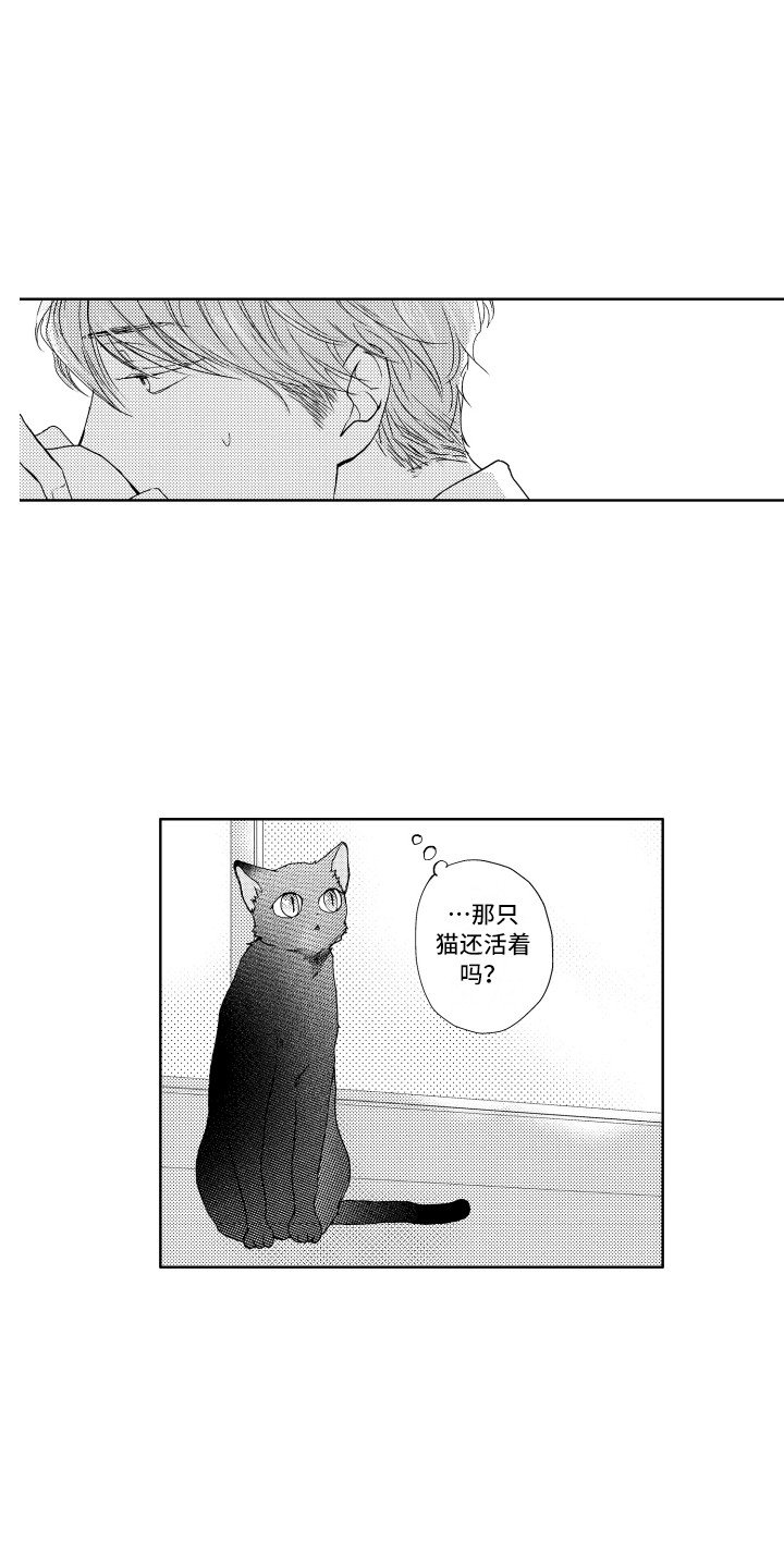 第1章：流浪猫
