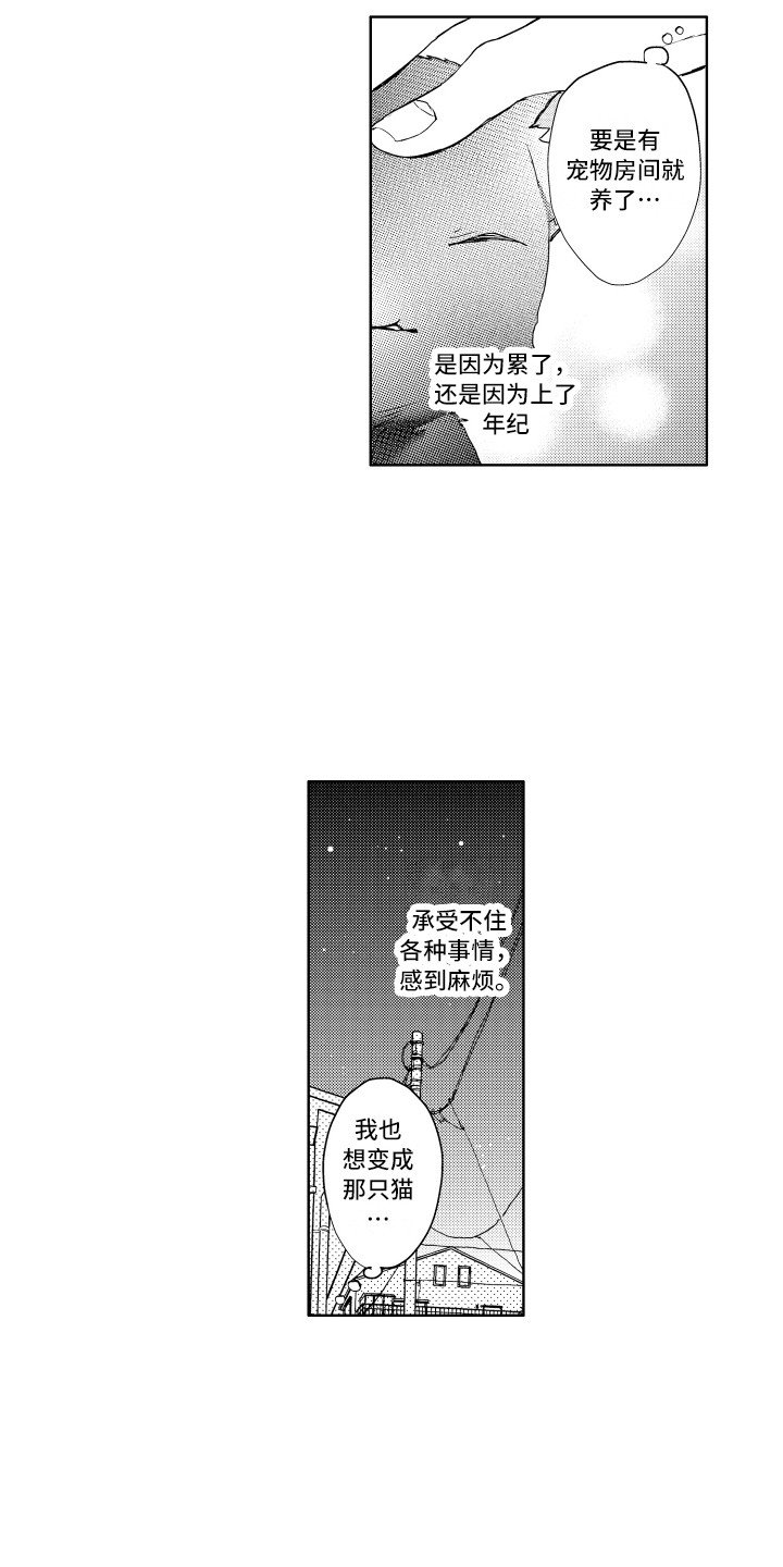 第1章：流浪猫