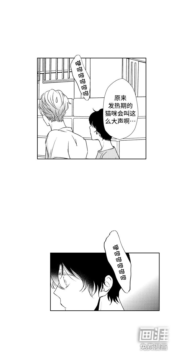 第11章：猫叫声