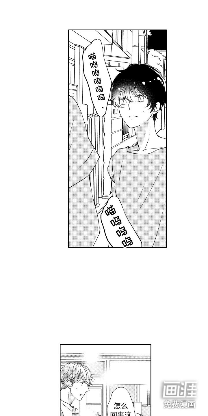 第11章：猫叫声