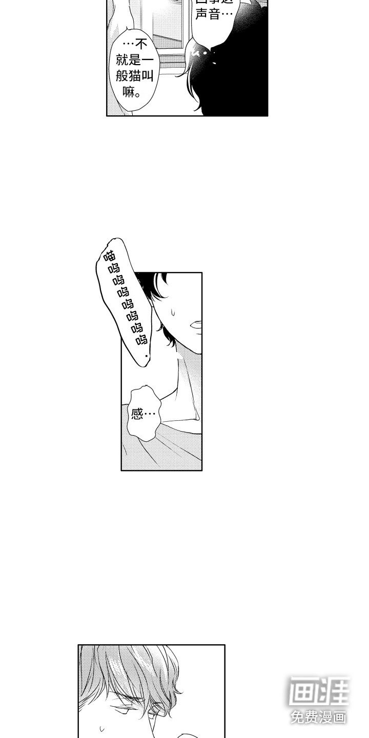 第11章：猫叫声