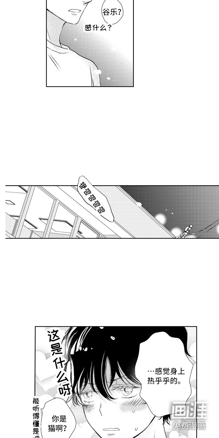 第11章：猫叫声