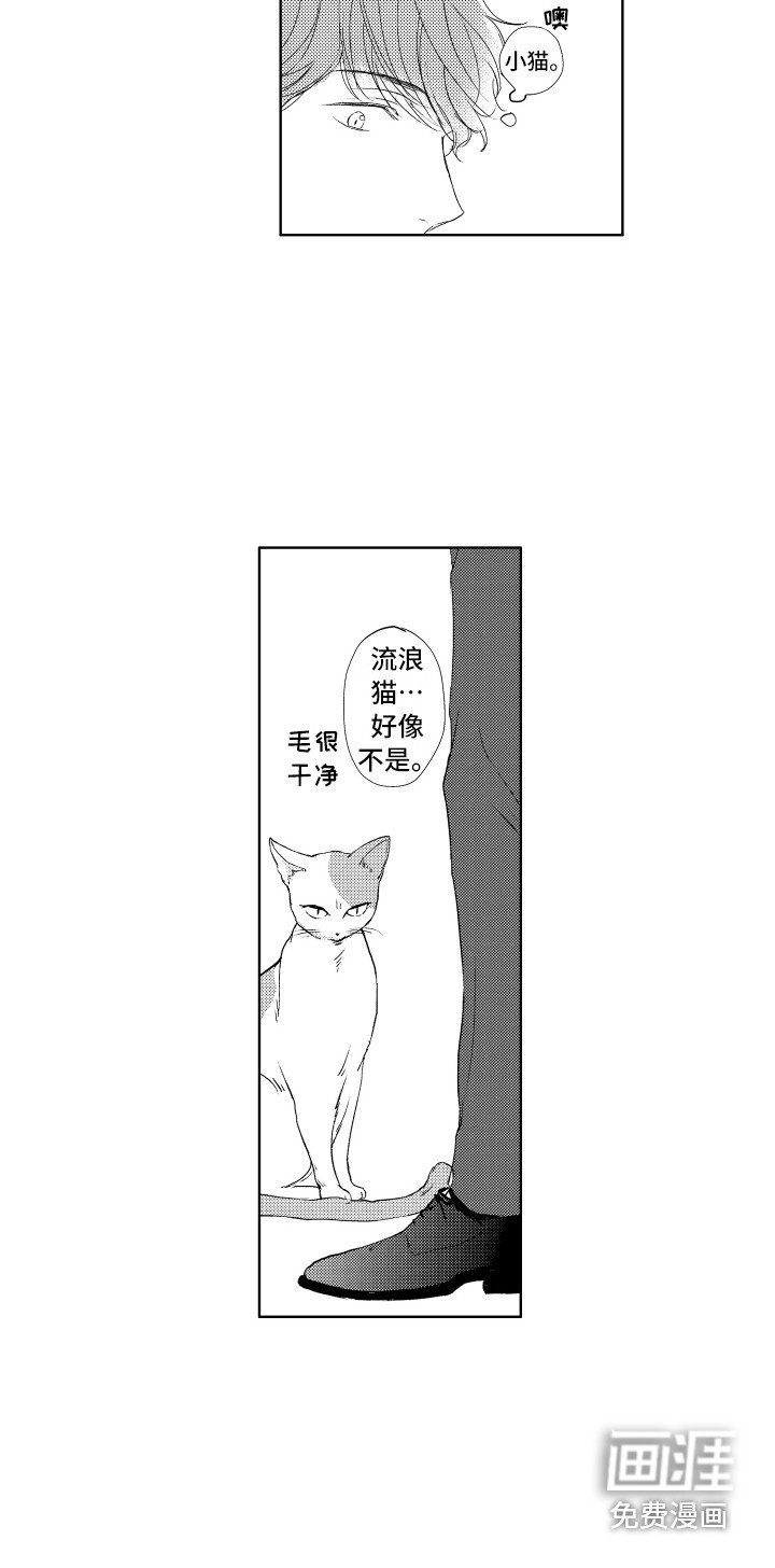 第20章：气味
