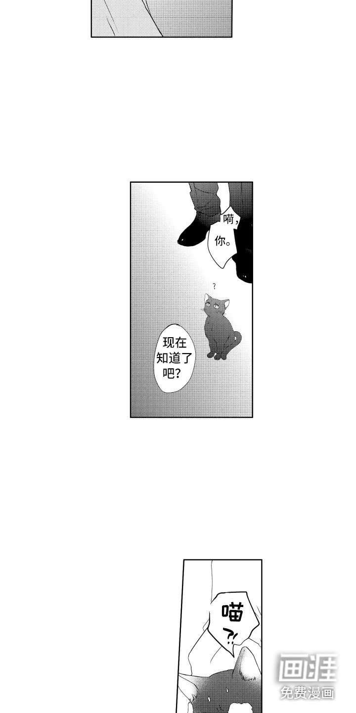 第22章：真面目