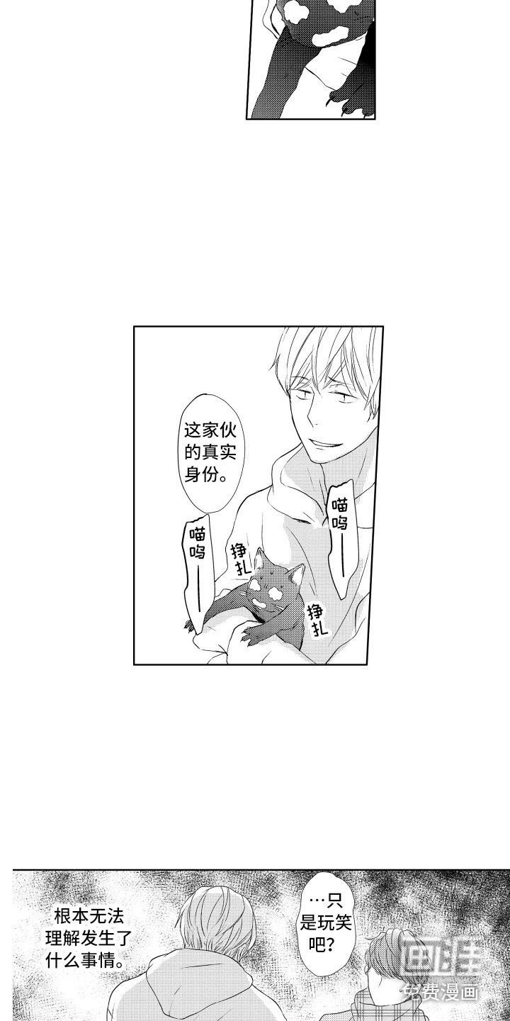 第22章：真面目