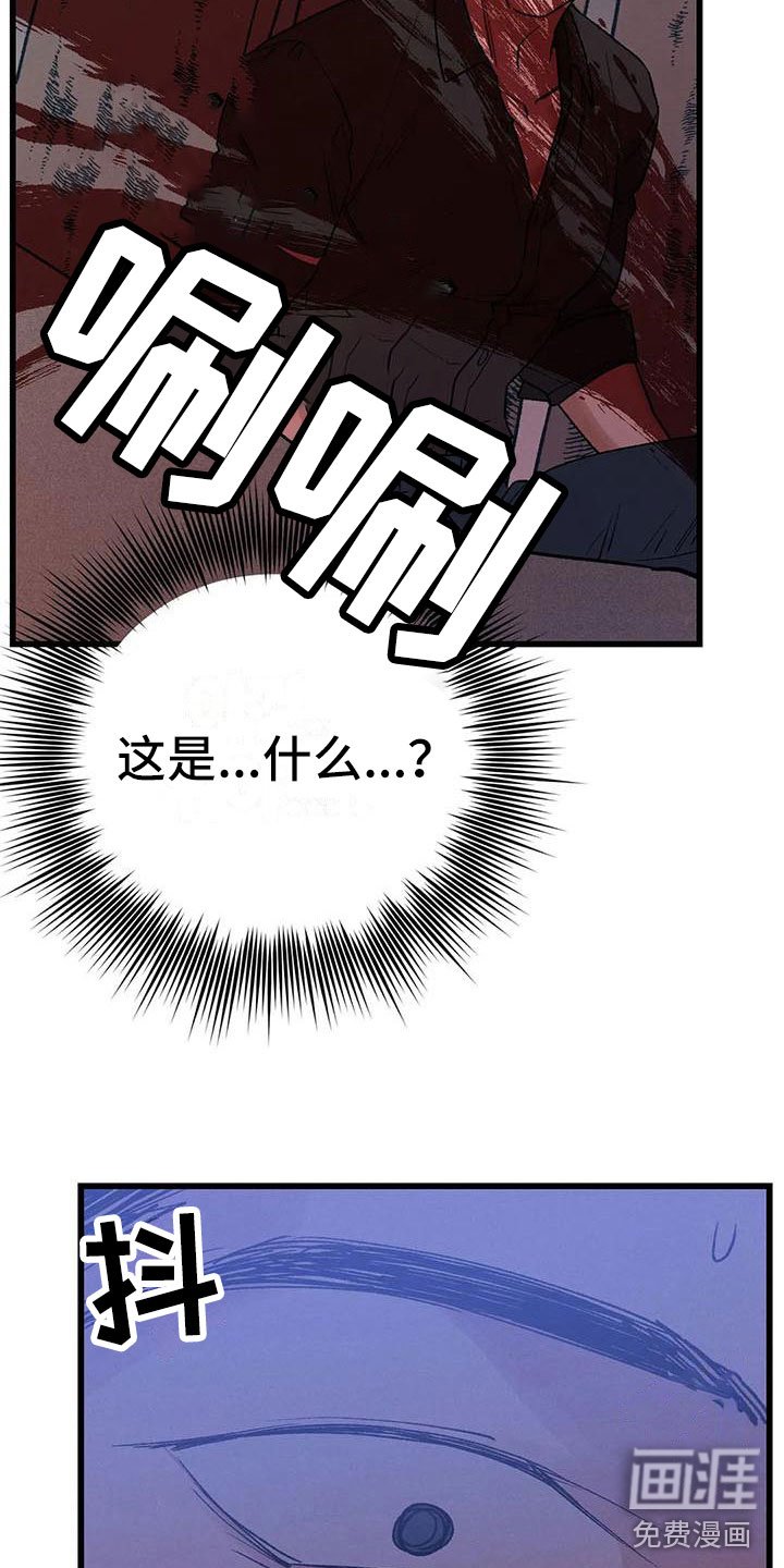 第11章：圣旨到