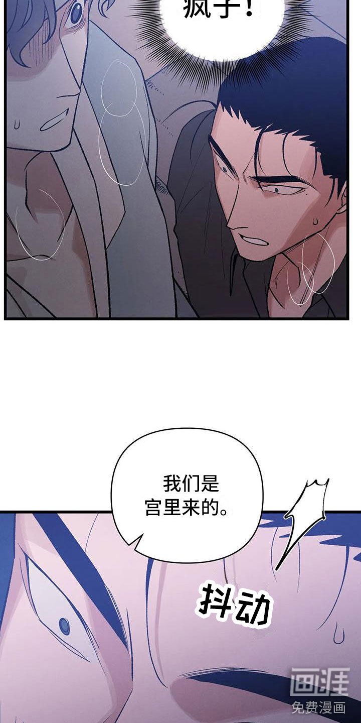 第11章：圣旨到
