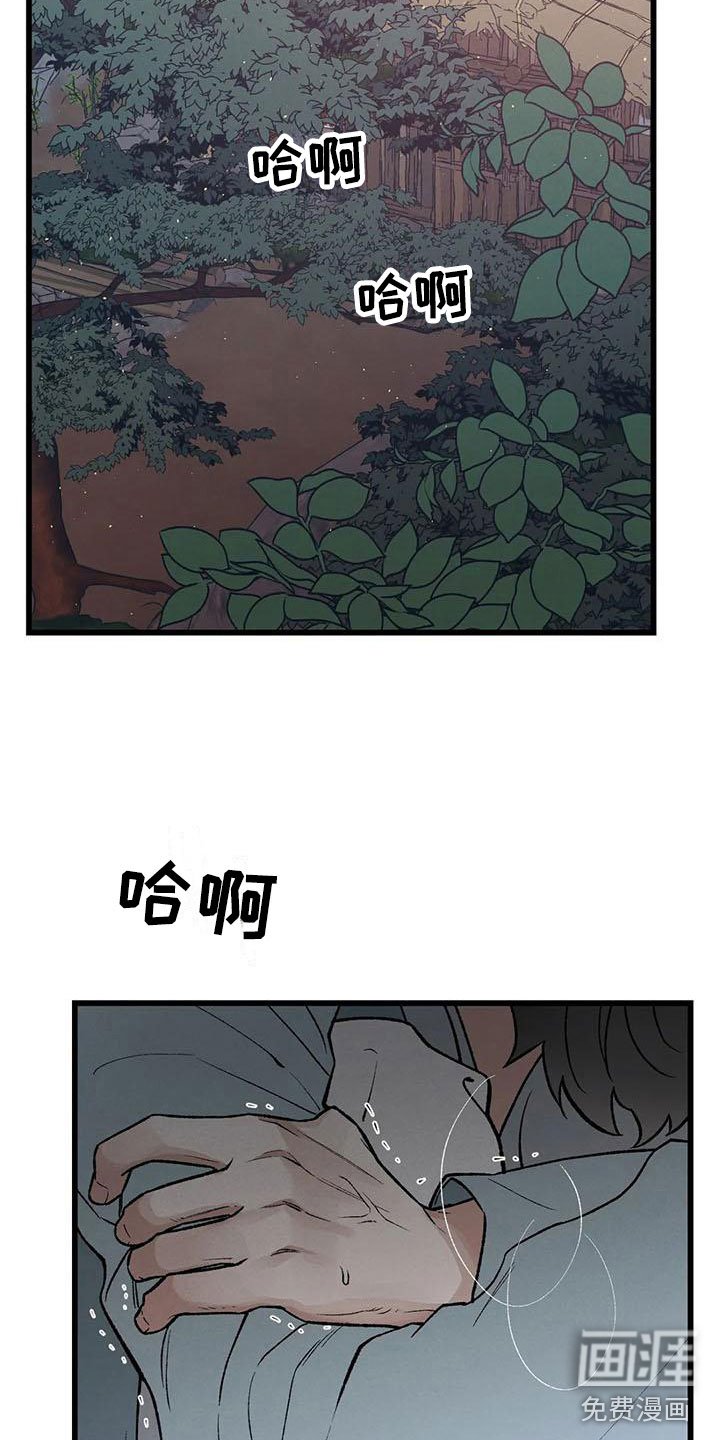 第12章：当国王？！