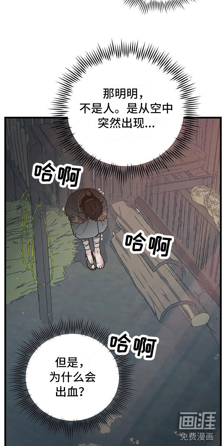 第12章：当国王？！