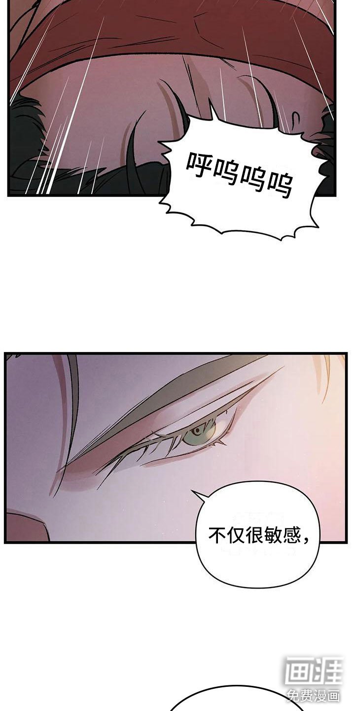 第14章：直面现实