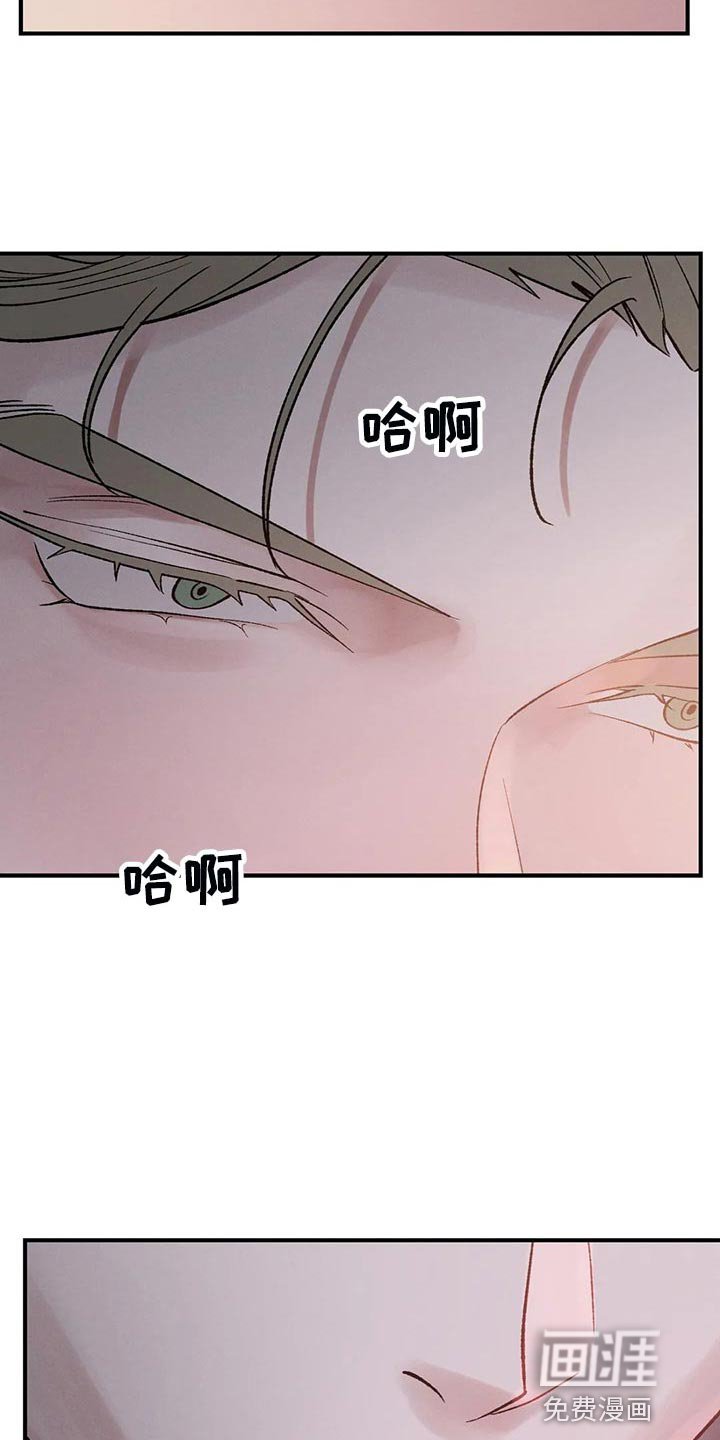 第26章：看来是我赢了