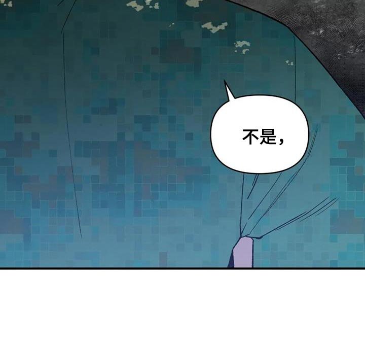 第81章：【第二季】重要的会议