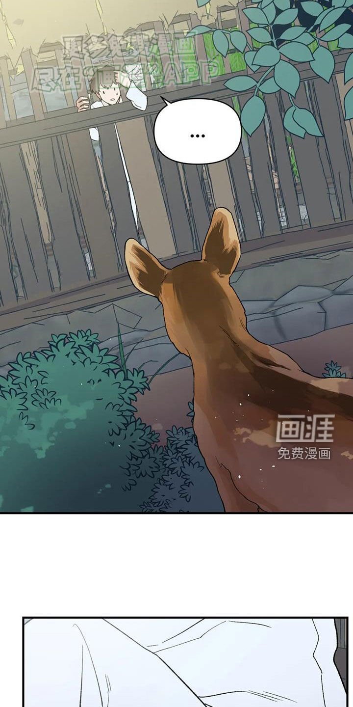 第91章：【第二季】假的