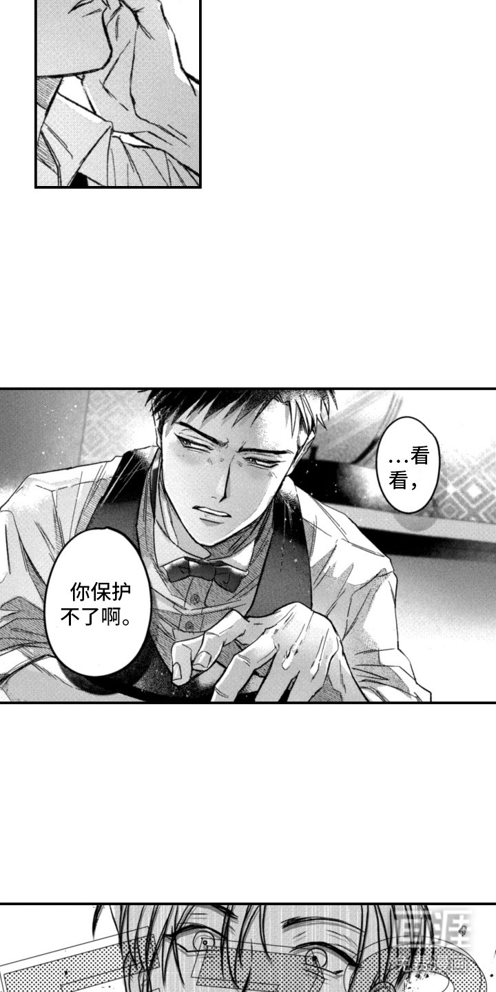 第4章：保护不了