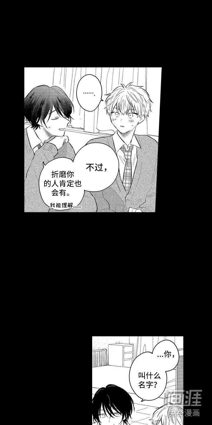 第5章：字面意思