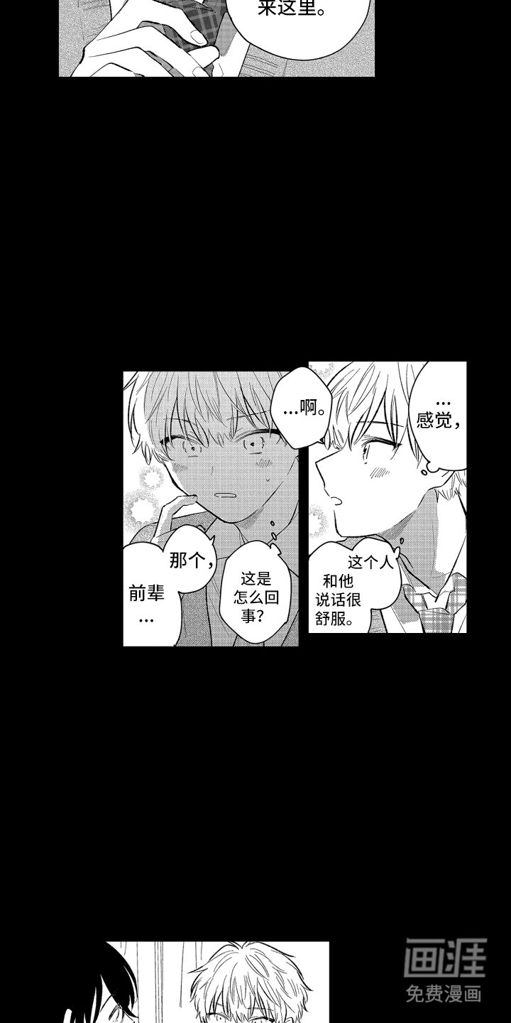 第5章：字面意思