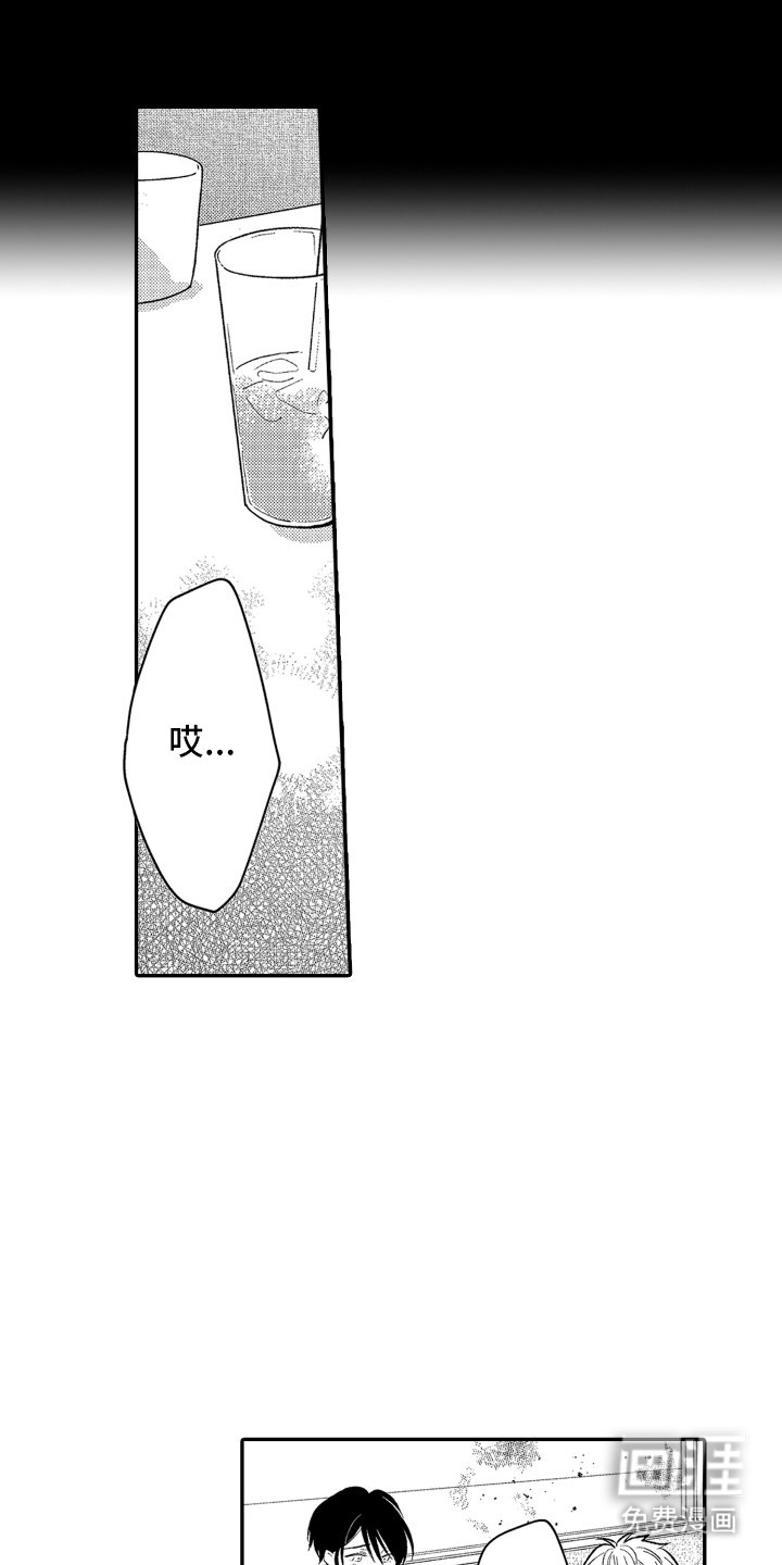 第5章：字面意思