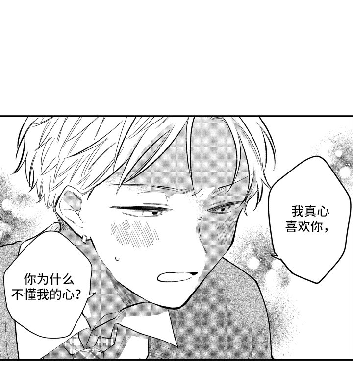 第6章：真心喜欢你