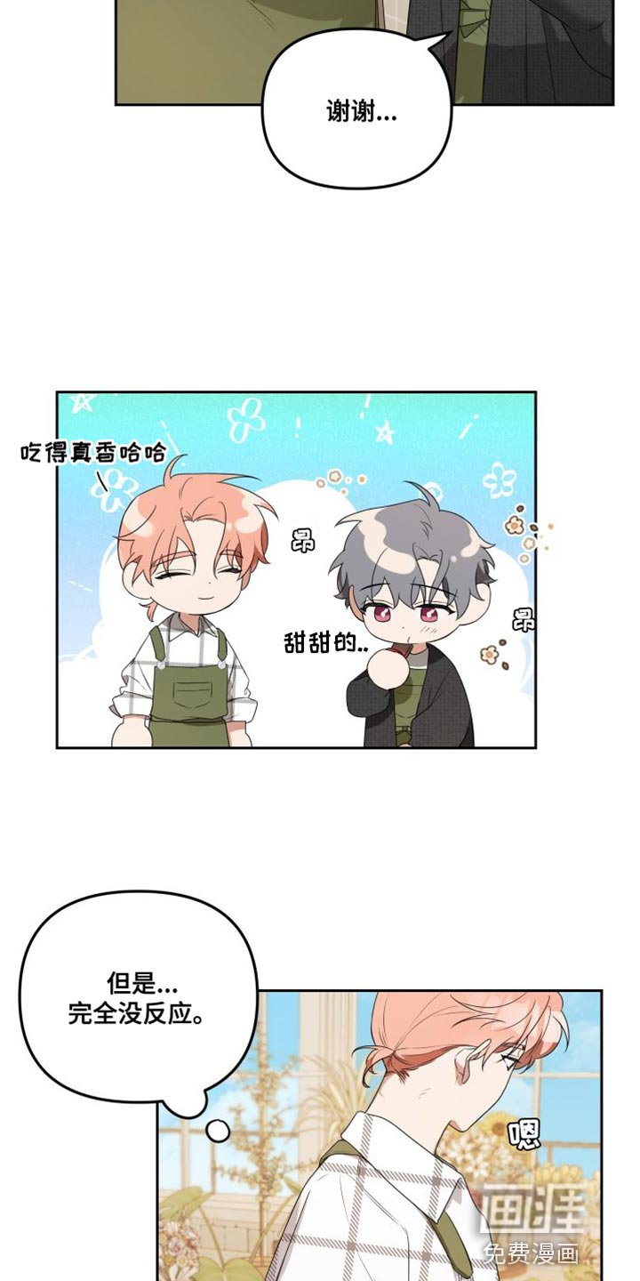 第13章：有趣的反应