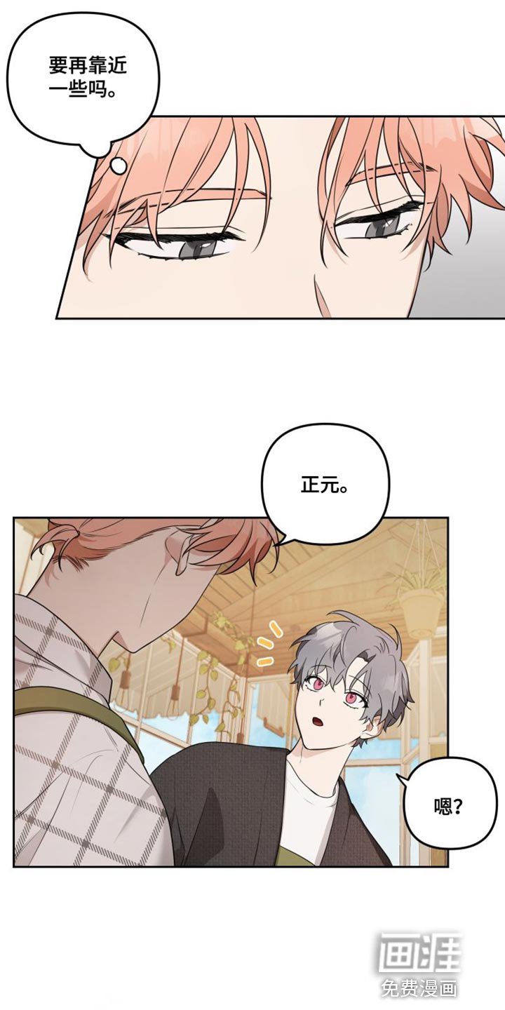 第13章：有趣的反应