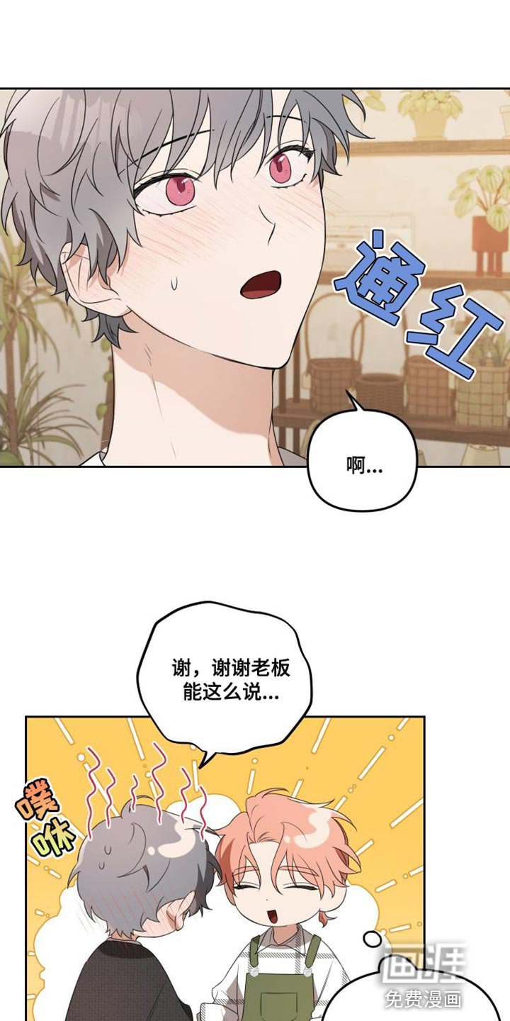 第13章：有趣的反应