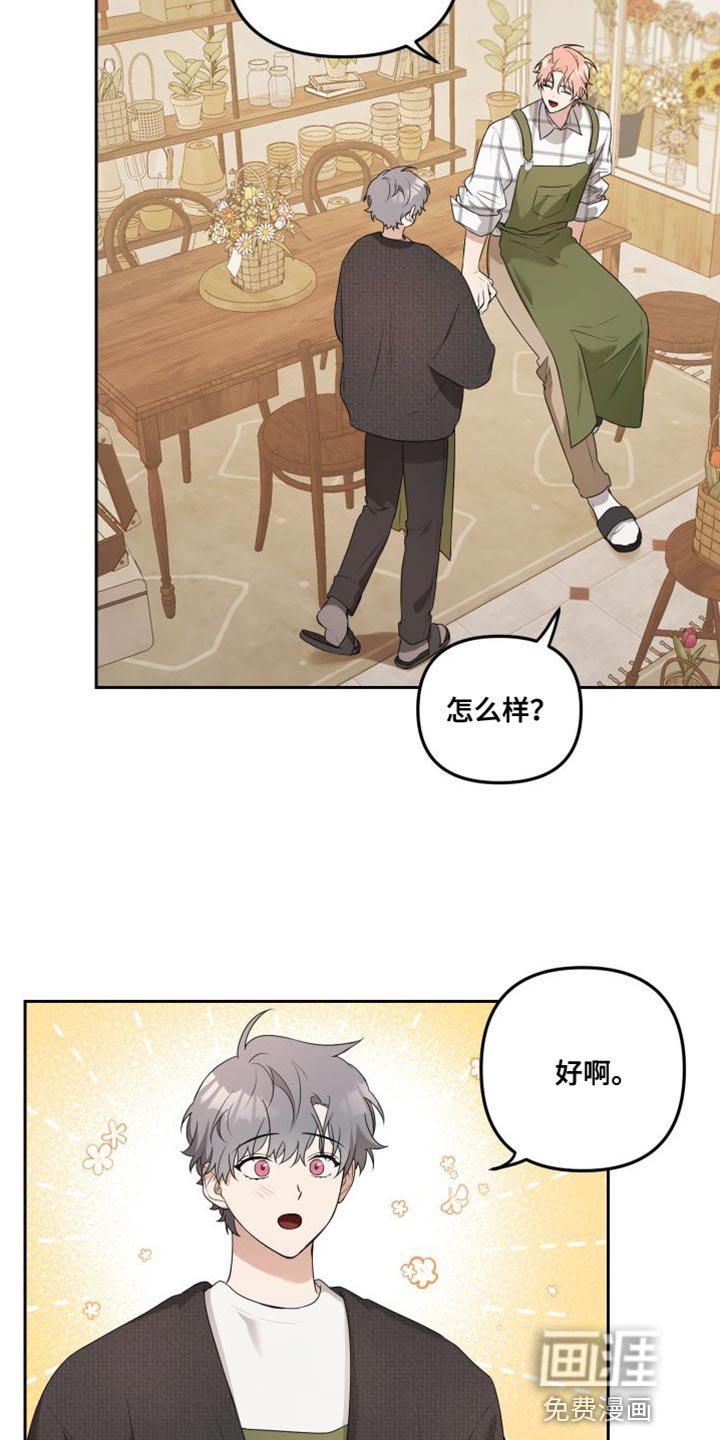 第13章：有趣的反应