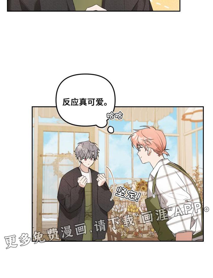 第13章：有趣的反应