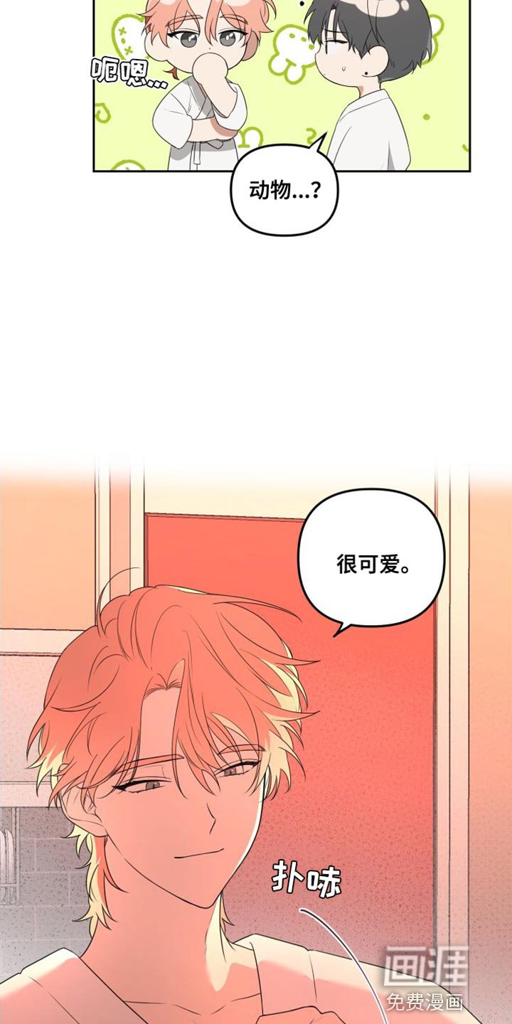 第15章：结束了