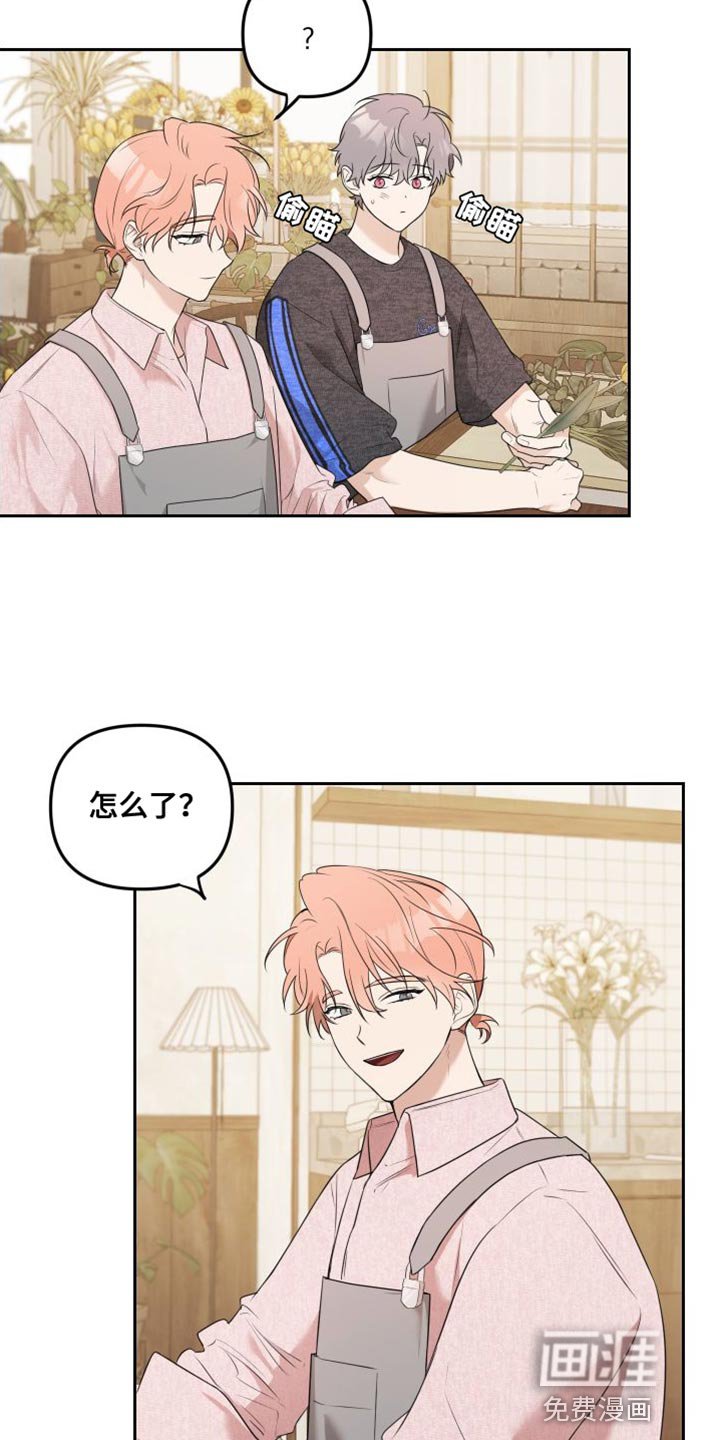 第17章：道歉