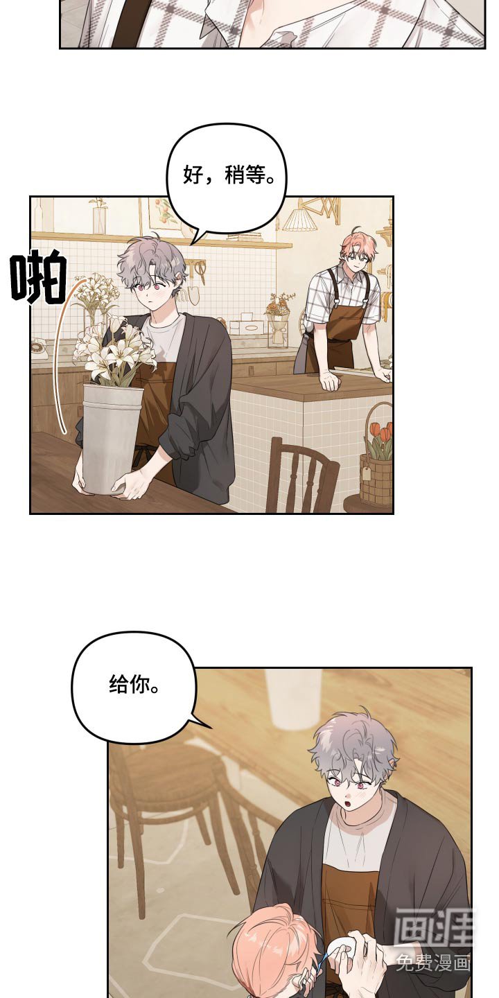 第47章：错觉嘛