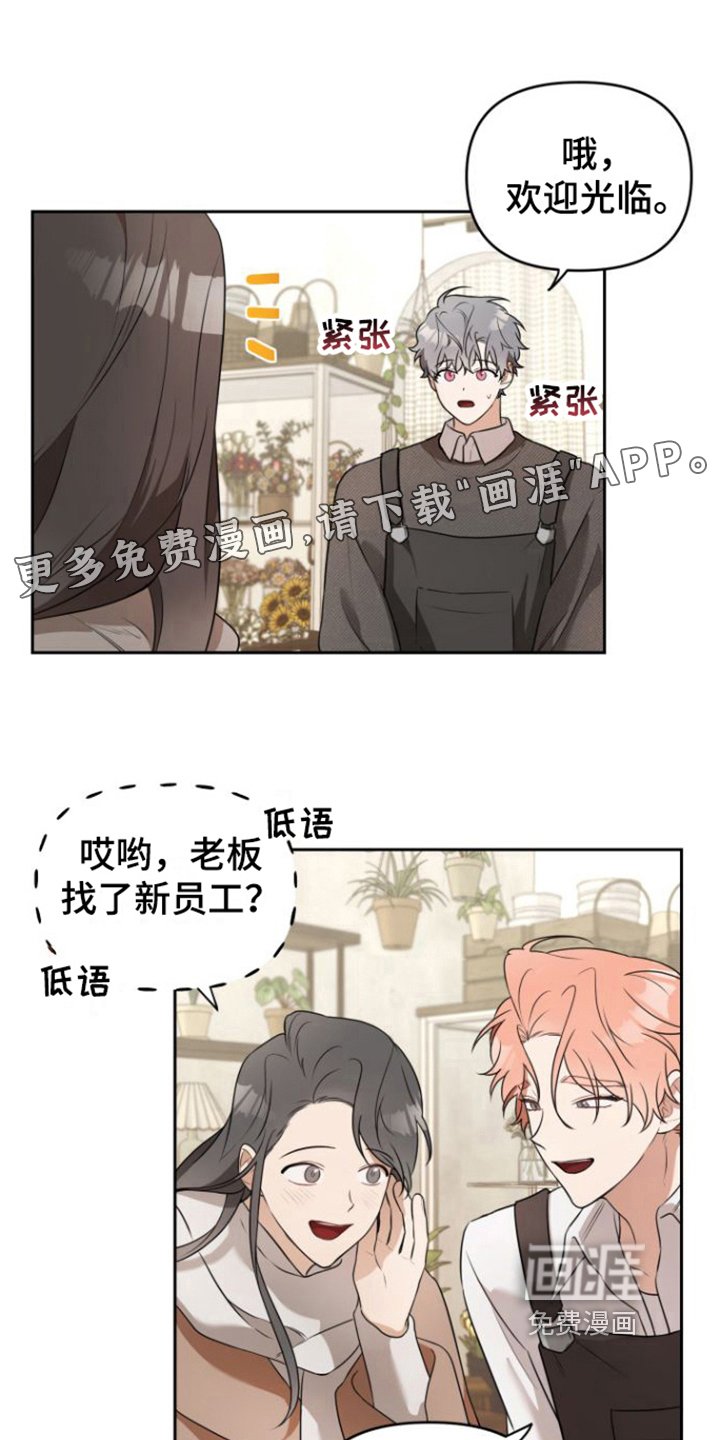 第5章：喜欢的类型