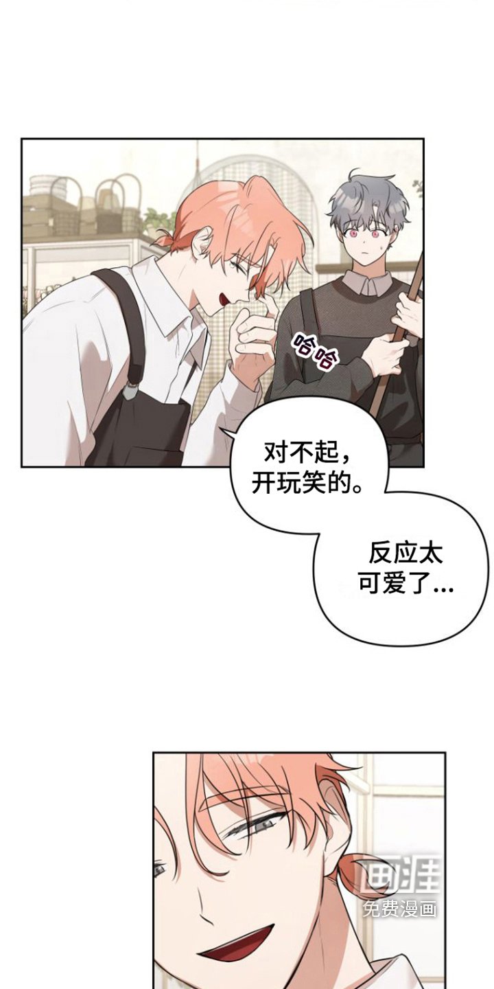 第5章：喜欢的类型