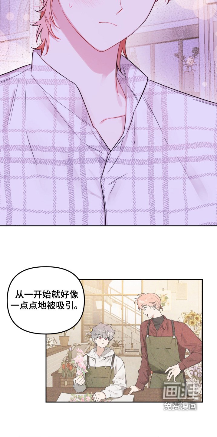 第59章：我只是喜欢