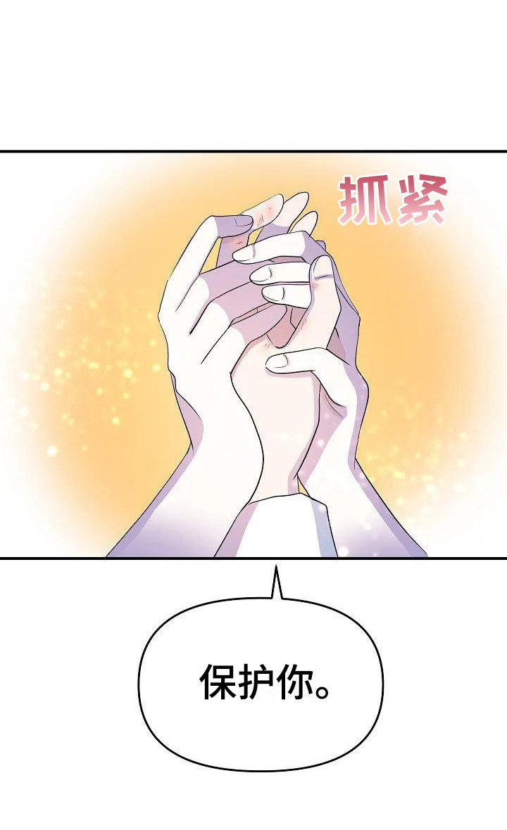 第13章：为了守护