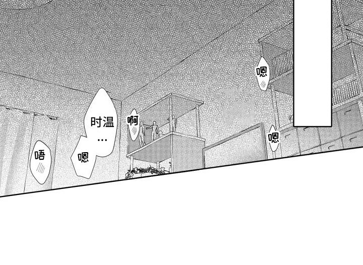 第12章：内心想法