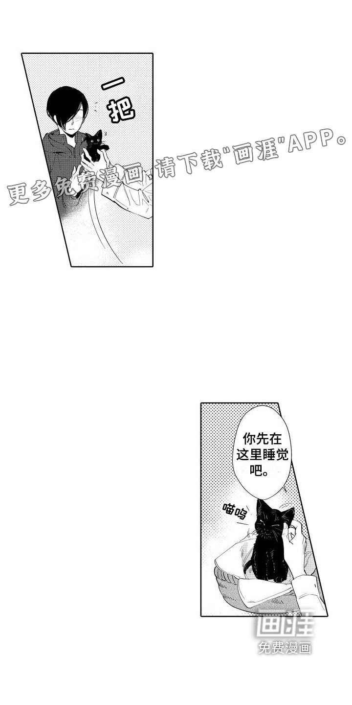 第8章：着迷