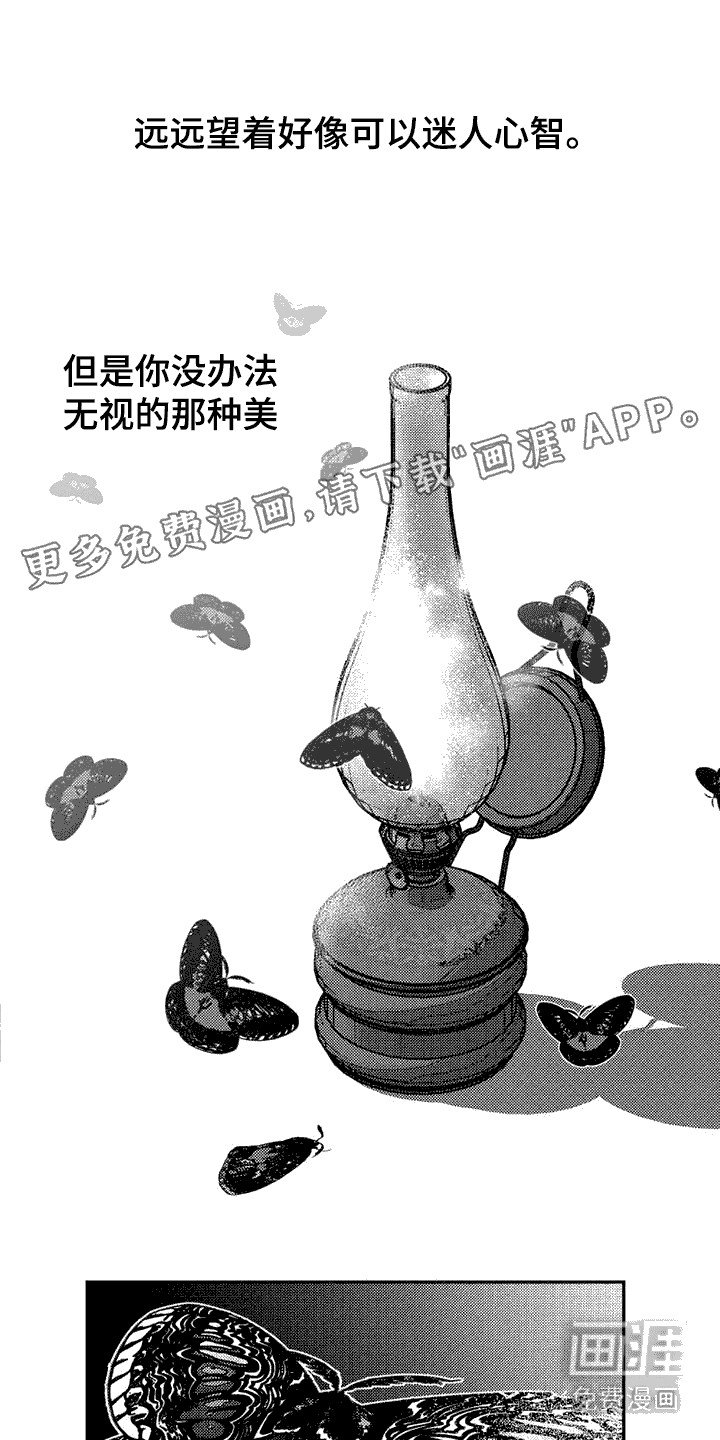 第11章：吸引力