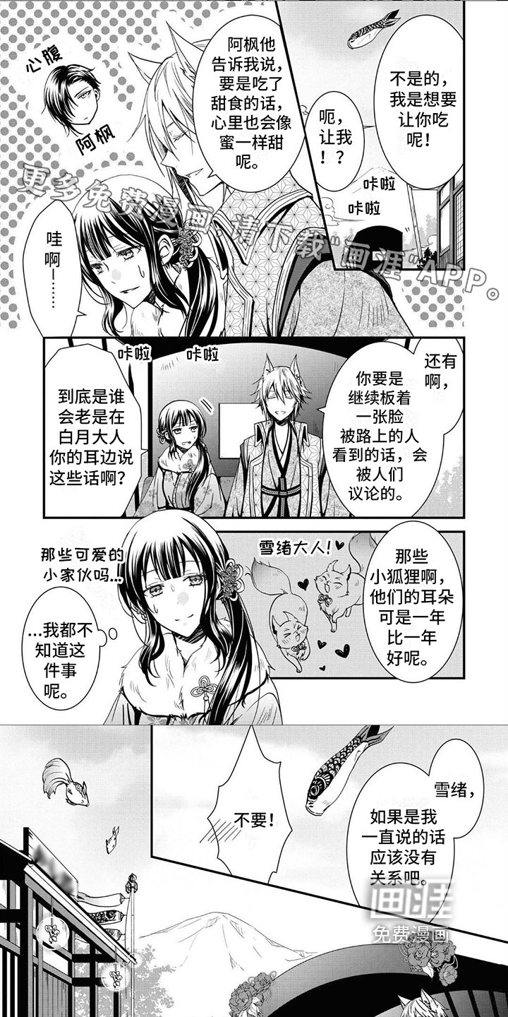 第16章：喂食
