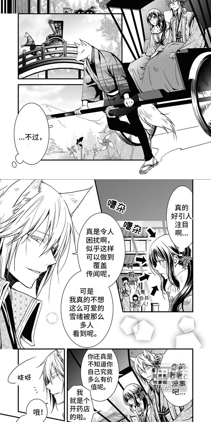 第16章：喂食