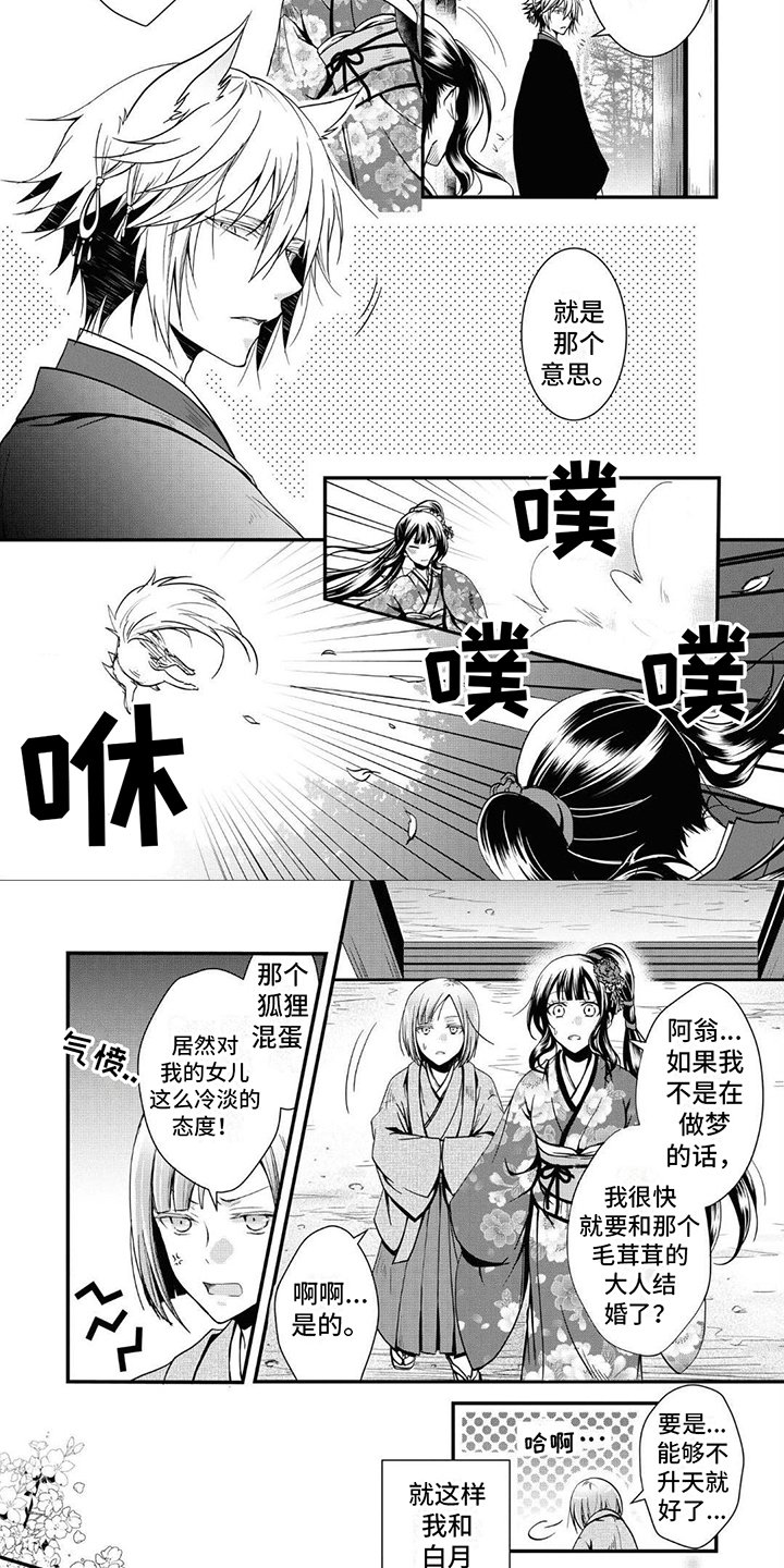 第3章：嫁人
