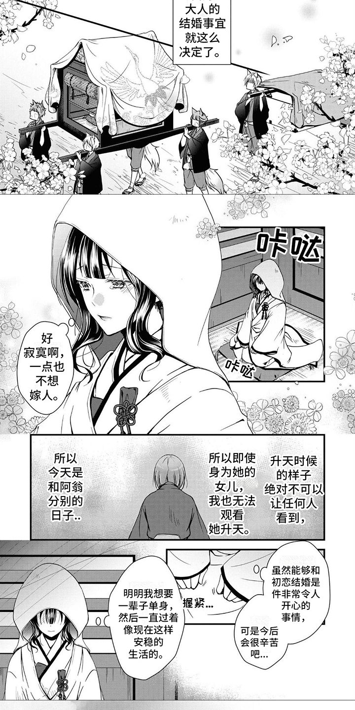 第3章：嫁人