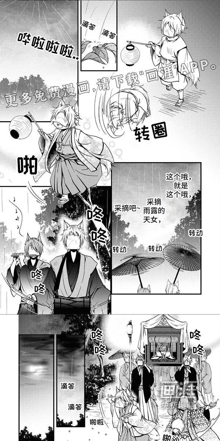 第4章：特殊情况